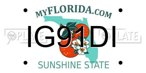 IG91DI Florida License Plate