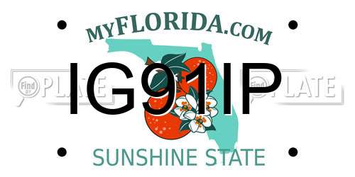 IG91IP Florida License Plate