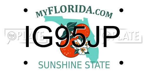 IG95JP Florida License Plate