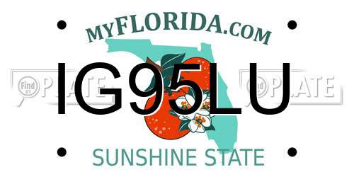 IG95LU Florida License Plate