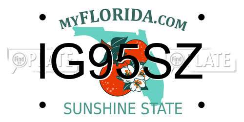 IG95SZ Florida License Plate