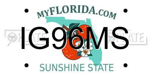 IG96MS Florida License Plate