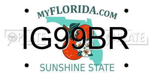IG99BR Florida License Plate