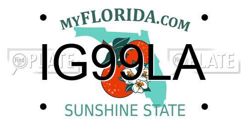 IG99LA Florida License Plate