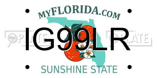 IG99LR Florida License Plate