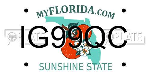 IG99QC Florida License Plate