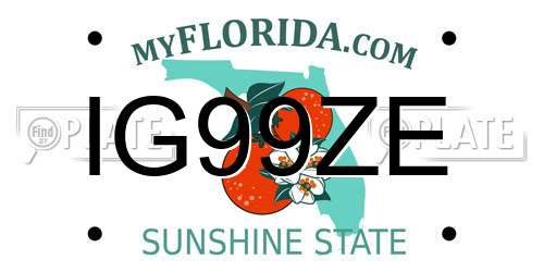 IG99ZE Florida License Plate
