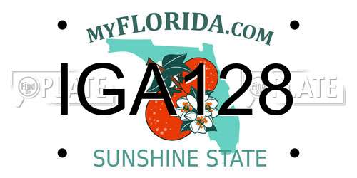 IGA128 Florida License Plate
