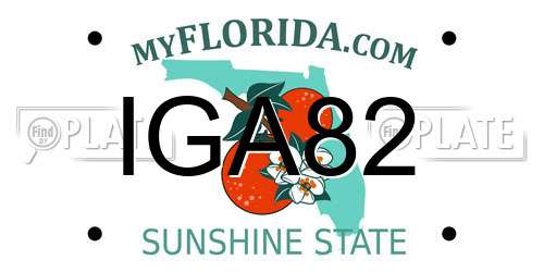 IGA82 Florida License Plate