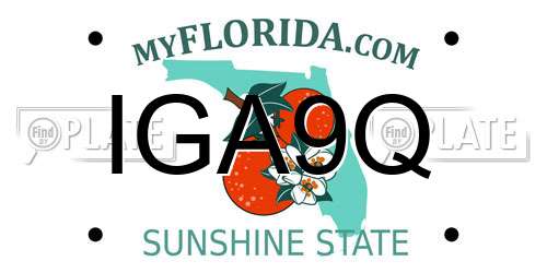 IGA9Q Florida License Plate