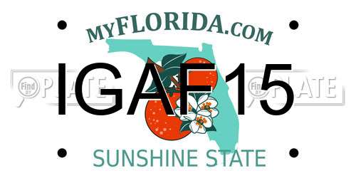 IGAF15 Florida License Plate