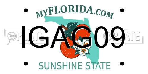IGAG09 Florida License Plate
