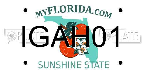 IGAH01 Florida License Plate