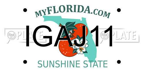 IGAJ11 Florida License Plate