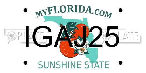 IGAJ25 Florida License Plate