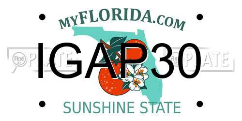 IGAP30 Florida License Plate