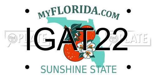 IGAT22 Florida License Plate