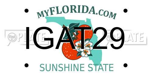 IGAT29 Florida License Plate