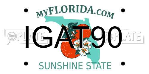 IGAT90 Florida License Plate