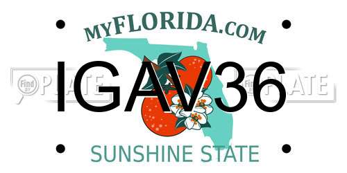 IGAV36 Florida License Plate