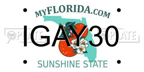 IGAY30 Florida License Plate