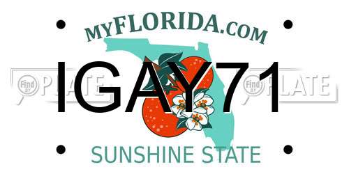 IGAY71 Florida License Plate
