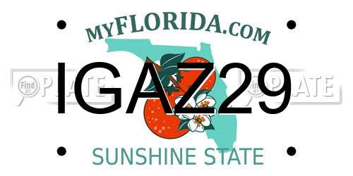 IGAZ29 Florida License Plate