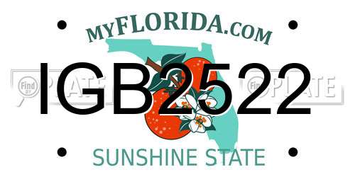 IGB2522 Florida License Plate