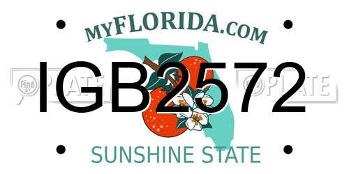IGB2572 Florida License Plate