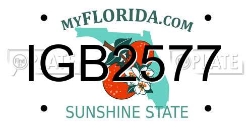 IGB2577 Florida License Plate