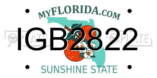 IGB2822 Florida License Plate
