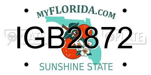 IGB2872 Florida License Plate