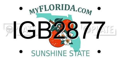 IGB2877 Florida License Plate