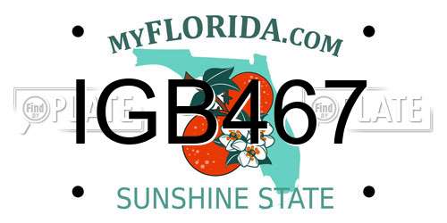 IGB467 Florida License Plate