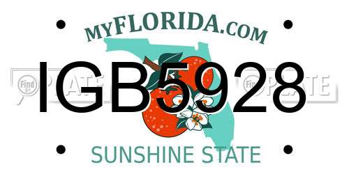 IGB5928 Florida License Plate