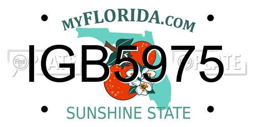 IGB5975 Florida License Plate