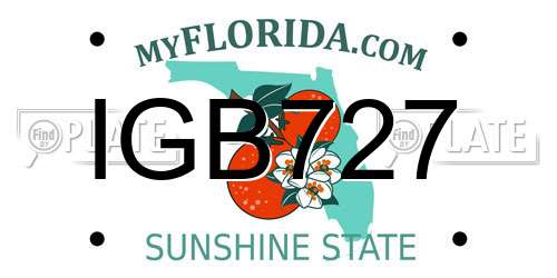 IGB727 Florida License Plate
