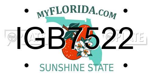 IGB7522 Florida License Plate