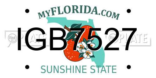 IGB7527 Florida License Plate