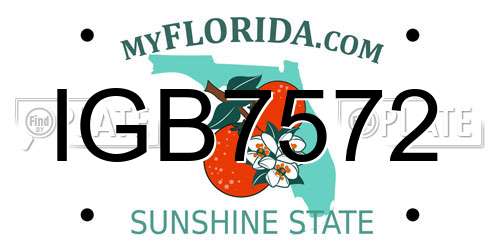 IGB7572 Florida License Plate