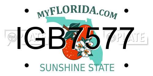 IGB7577 Florida License Plate