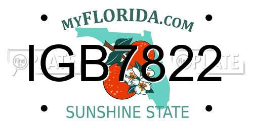 IGB7822 Florida License Plate