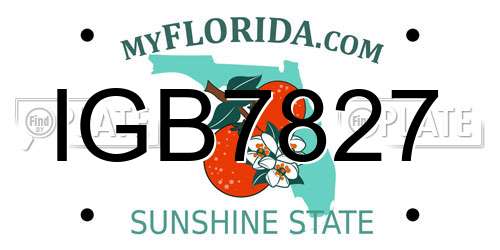 IGB7827 Florida License Plate