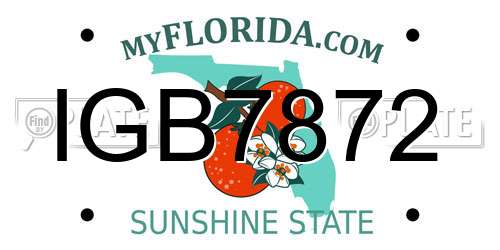 IGB7872 Florida License Plate