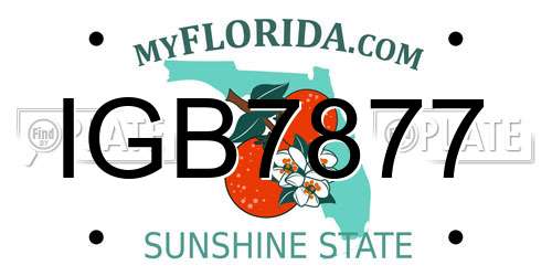 IGB7877 Florida License Plate