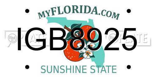 IGB8925 Florida License Plate