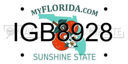 IGB8928 Florida License Plate
