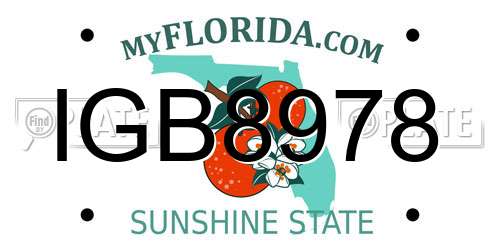 IGB8978 Florida License Plate
