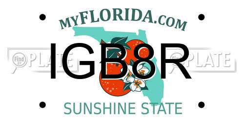 IGB8R Florida License Plate