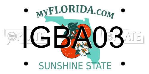 IGBA03 Florida License Plate